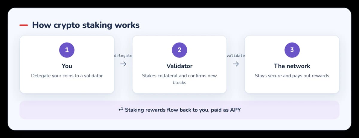 Diagram of a staker delegating coins to a validator and earning rewards